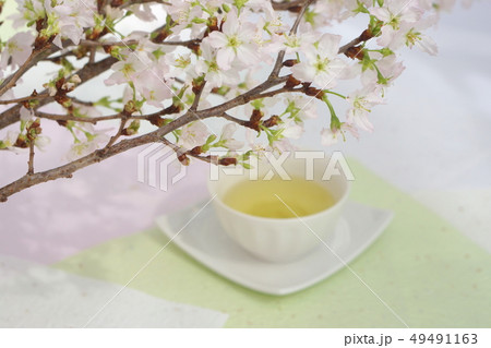 さくらと煎茶 さくらと煎茶 49491163