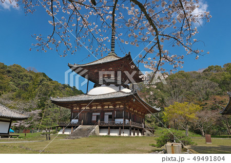 【根来寺 大塔】 (高解像度版) 和歌山県岩出市根来2286 49491804