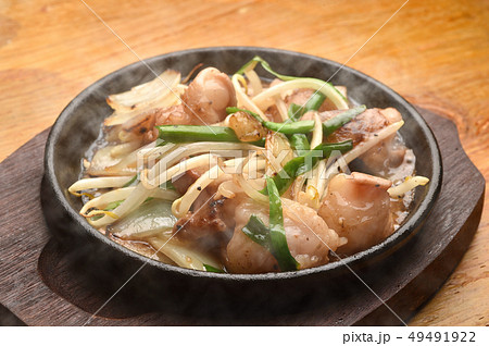 鉄板焼き ホルモン焼き 鉄板焼き ホルモン焼き 49491922