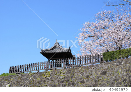 臼杵城跡と桜 臼杵城跡と桜 49492979