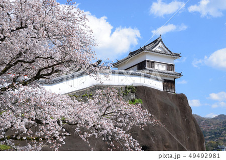臼杵城跡と桜 49492981