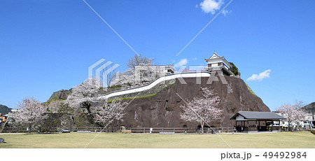 臼杵城跡と桜 49492984
