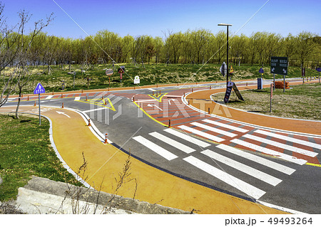 道路 自転車道 横断歩道 49493264