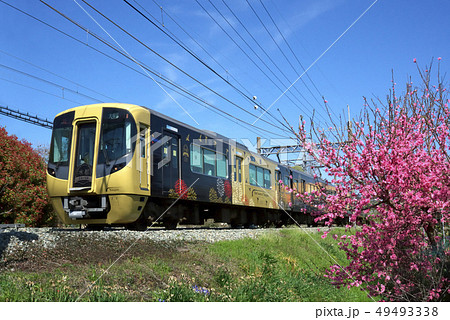 西鉄柳川観光列車「水都」 西鉄柳川観光列車「水都」 49493338