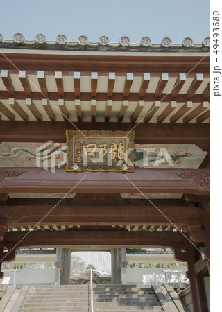 龍口寺仁王門（藤沢市片瀬） 49493680