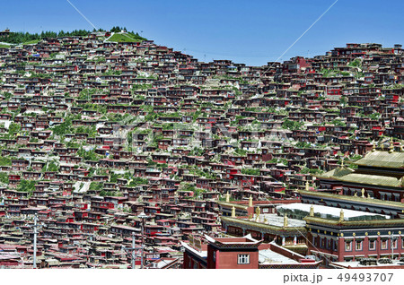 天空のチベット仏教都市　ラルン・ガル・ゴンパ　密集する僧坊 49493707