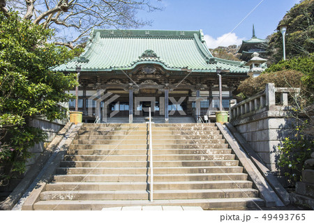 龍口寺本堂と五重塔（藤沢市片瀬） 49493765