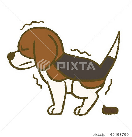 うんちをしてる犬のイラスト (ビーグル) うんちをしてる犬のイラスト (ビーグル) 49493790