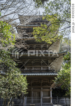 龍口寺の五重塔(藤沢市片瀬) 龍口寺の五重塔(藤沢市片瀬) 49493938