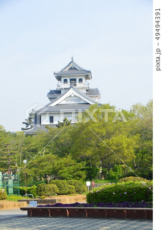 長浜城の模擬天守(豊公園/滋賀県長浜市公園町) 長浜城の模擬天守(豊公園/滋賀県長浜市公園町) 49494391