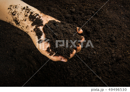 Small tree with Hands and soil , soil background Small tree with Hands and soil , soil background 49496530
