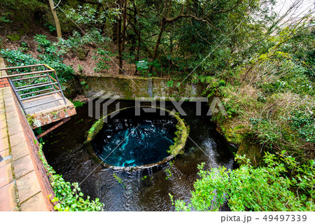 静岡県 柿田川湧水公園 第2展望台から見る湧き間 49497339