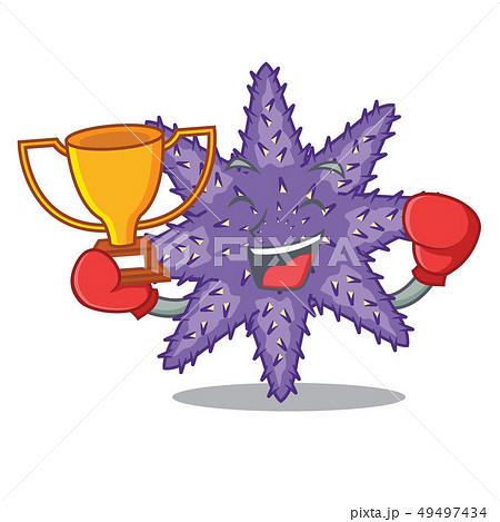 Boxing winner purple starfish the cartoon above sand Boxing winner purple starfish the cartoon above sand 49497434