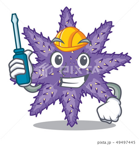Automotive purple starfish the cartoon above sand 49497445
