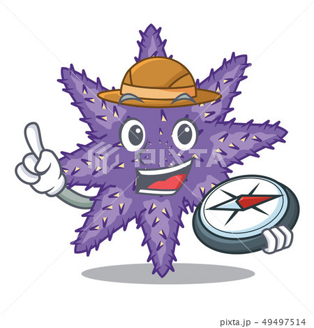 Explorer purple starfish in the character shape Explorer purple starfish in the character shape 49497514