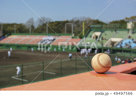 三塁側スタンドからマウンド・ホーム方向 49497566
