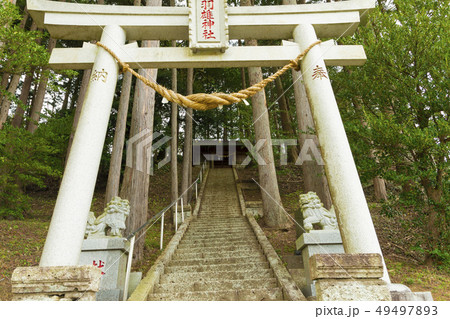 春の小湊鉄道 羽雄神社 春の小湊鉄道 羽雄神社 49497893