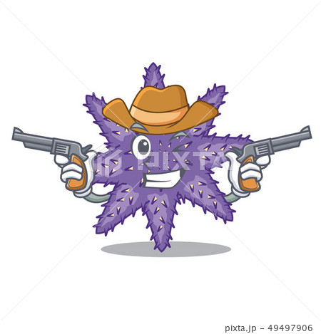 Cowboy purple starfish isolated with the mascot 49497906