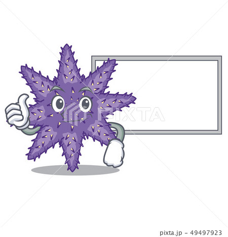 Thumbs up with board purple starfish isolated with the mascot 49497923