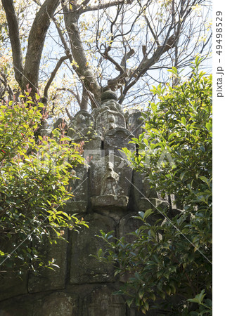 常立寺の元使塚(藤沢市片瀬) 常立寺の元使塚(藤沢市片瀬) 49498529