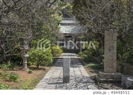 常立寺の参道（藤沢市片瀬） 49498552