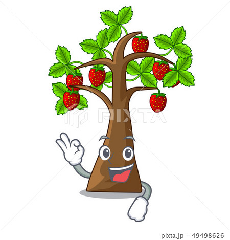 Okay strawberry tree in the mascot pots 49498626