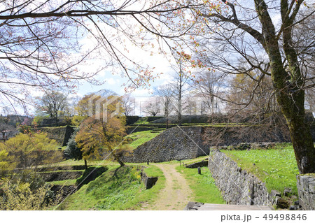 臼杵城跡と桜 49498846