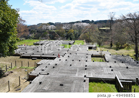 臼杵城跡と桜 49498851