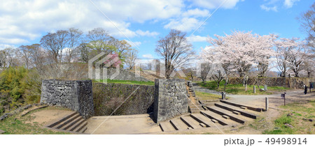 臼杵城跡と桜 49498914