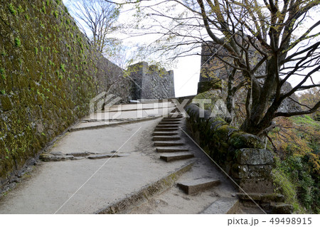 臼杵城跡と桜 49498915