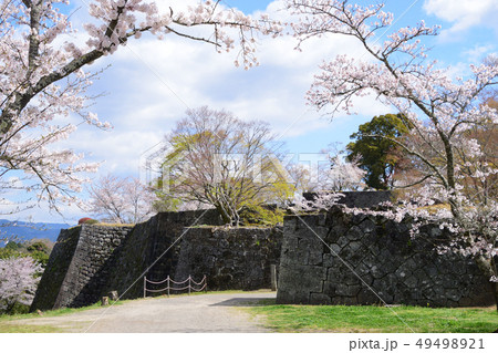 臼杵城跡と桜 臼杵城跡と桜 49498921