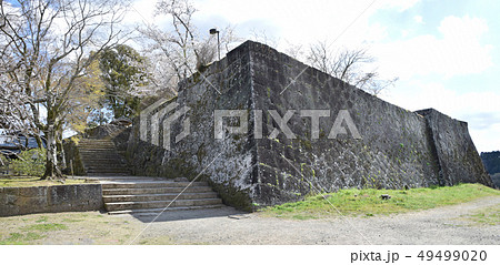 臼杵城跡と桜 49499020