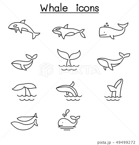 Whale icon set in thin line style Whale icon set in thin line style 49499272