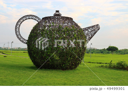風景 観光 風 49499301