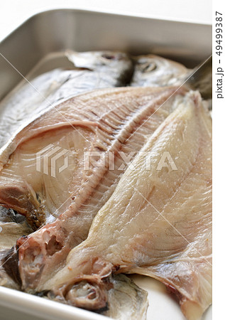 しず鯛開き しず鯛開き 49499387