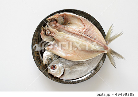 しず鯛開き しず鯛開き 49499388
