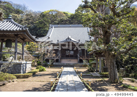 本蓮寺本堂 (藤沢市片瀬) 49499445