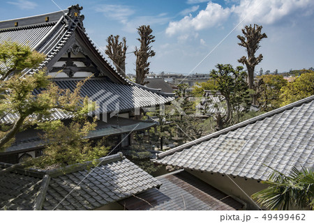 本蓮寺本堂 (藤沢市片瀬) 49499462