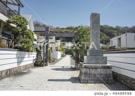 本蓮寺参道 (藤沢市片瀬) 本蓮寺参道 (藤沢市片瀬) 49499598