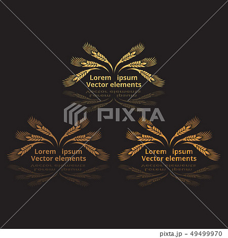 Wheat ears, oats or barley three vector Wheat ears, oats or barley three vector 49499970