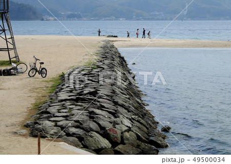宮津 春の天橋立 宮津 春の天橋立 49500034