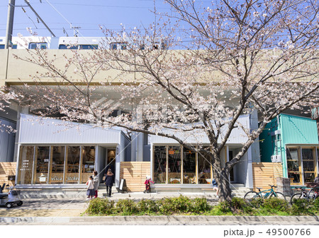 名古屋市北区　名鉄瀬戸線　尼ヶ坂駅～清水駅間　SAKUMACHI商店街と桜並木 49500766