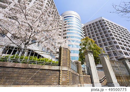 名大病院 (名古屋大学医学部附属病院)と桜 名大病院 (名古屋大学医学部附属病院)と桜 49500775