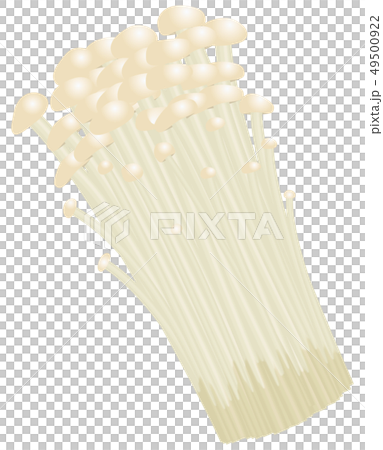 ベクター　イラスト　きのこ　えのきだけ 49500922