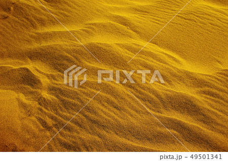 Grainy Sand and Wavy Dune 49501341
