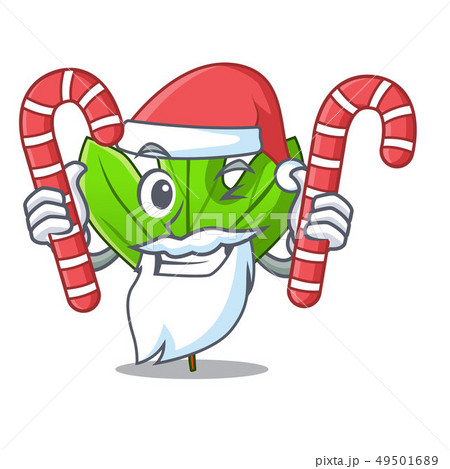 Santa with candy sassafras leaf in the shape cartoon 49501689