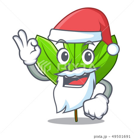 Santa sassafras leaf in the shape cartoon Santa sassafras leaf in the shape cartoon 49501691