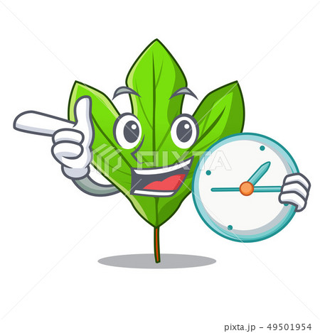 With clock sassafras leaf in the cartoon stem With clock sassafras leaf in the cartoon stem 49501954