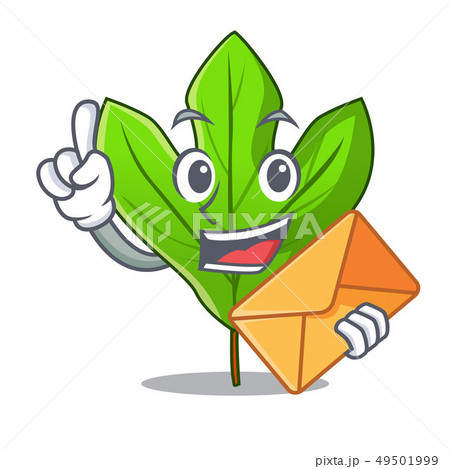 With envelope sassafras leaf in the cartoon stem 49501999
