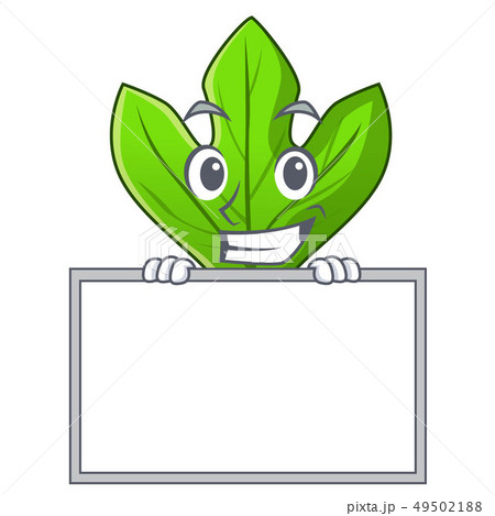Grinning with board sassafras leaf isolated in the character Grinning with board sassafras leaf isolated in the character 49502188